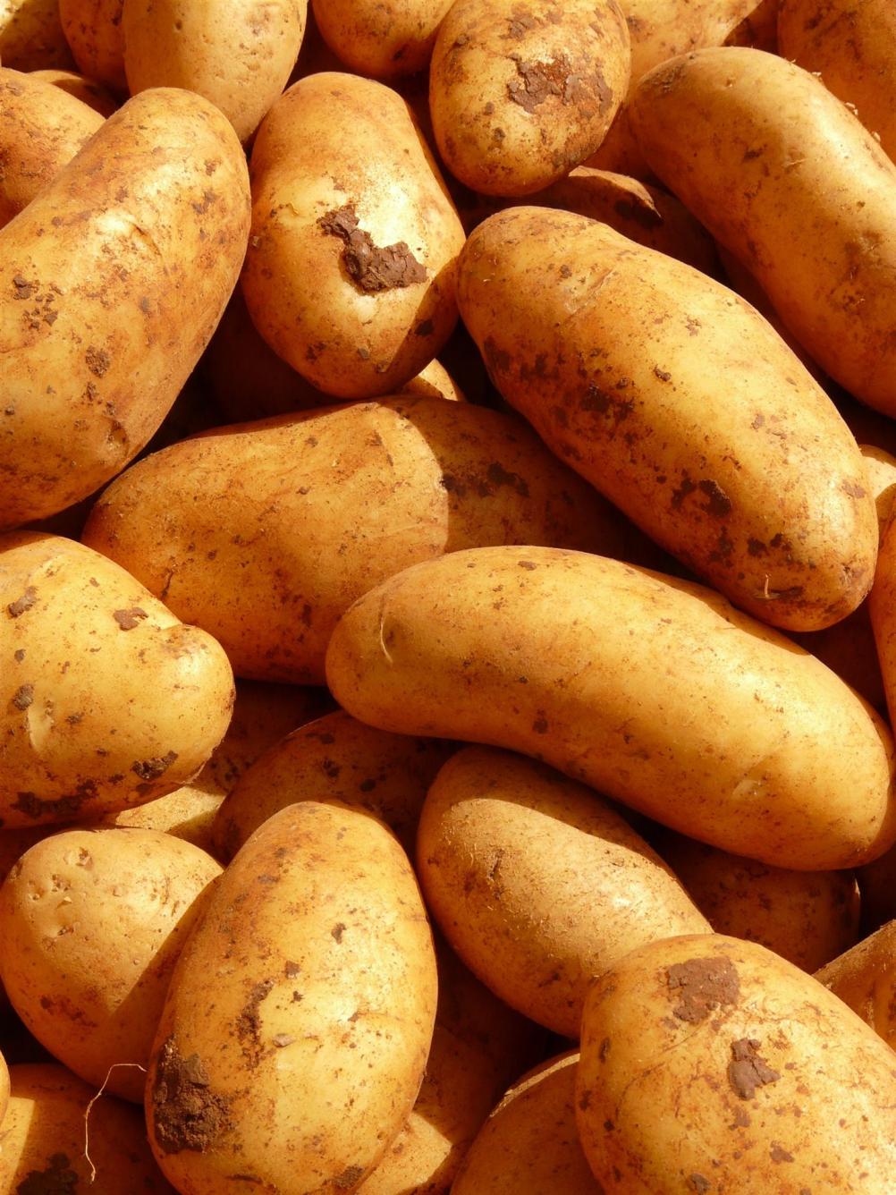 potatoes-5796